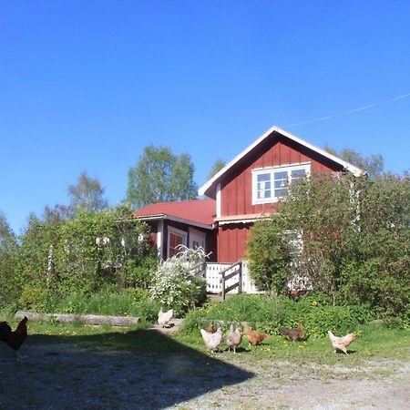 Boende Naera Romme Alpin Och Andra Friluftsaktiviteter I Dalarna Smedjebacken Exterior foto